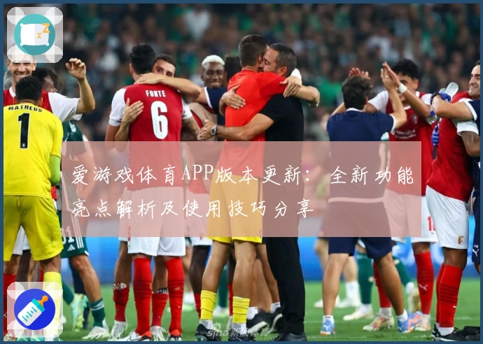 爱游戏体育APP版本更新：全新功能亮点解析及使用技巧分享
