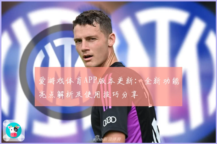爱游戏体育APP版本更新：全新功能亮点解析及使用技巧分享