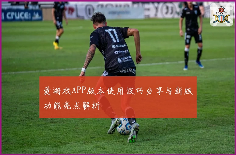 爱游戏APP版本使用技巧分享与新版功能亮点解析
